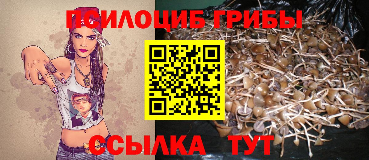 Троицк  Псилоцибиновые грибы мицелий  Вход с VPN 